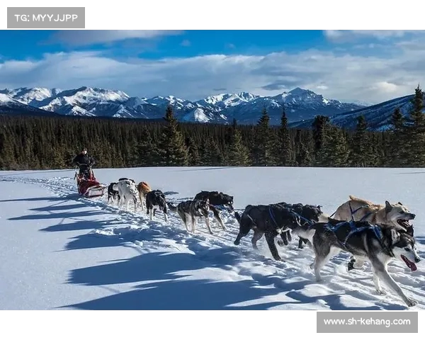 加拿大队在挪威举行的世界雪橇犬锦标赛上勇夺冠军 加拿大队在挪威举行的世界雪橇犬锦标赛上勇夺冠军
